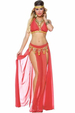 sexy harem girl costume